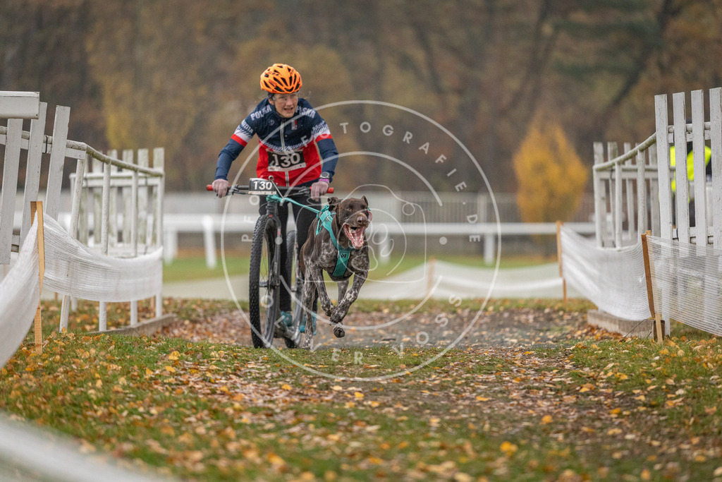 CaniXpix_DV3A7383 | Hundefotografie, Tierfotograf, Pfotenfotografie, Fotoshooting Hund, Hunde Portrait, Hundesport, Hundeportraits, Heideshooting, Hunde, Sportfotograf, Hundefotograf, Turnierhundsport, THS,  - Realisiert mit Pictrs.com