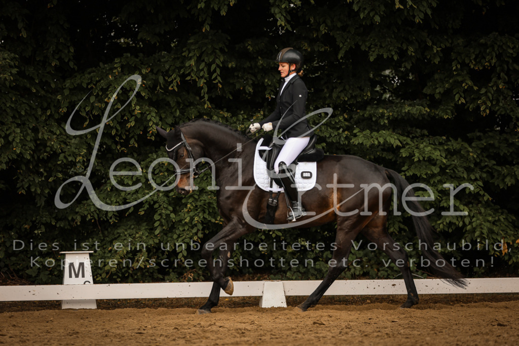 DoDrA200097 | Leoni Ertmer Photography - Realisiert mit Pictrs.com