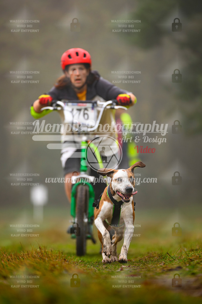 MompixPhotography_Bischwiller2025_Scooter-67 | mompixphotography