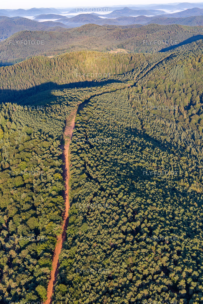 Trasse zur Neuerrichtung des Teilstücks der Trans-Europa-Naturgas-Pipeline (TENP-I zwischen den Niederlanden und der Schweiz) auf 51 km Länge zwischen Mittelbrunn und Klingenmünster | Luftbild: Trasse zur Neuerrichtung des Teilstücks der Trans-Europa-Naturgas-Pipeline (TENP-I zwischen den Niederlanden und der Schweiz) auf 51 km Länge zwischen Mittelbrunn und Klingenmünster in Klingenmünster im Bundesland Rheinland-Pfalz in Deutschland. Foto: IMG_143032.jpg vom 06.08.2024 durch ©2025 Werner Riehm fly-foto.de/copyright - Realisiert mit Pictrs.com
