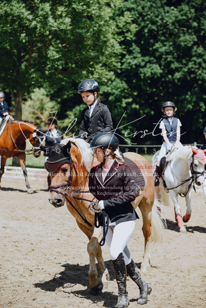 DSC_2709 | Pferde- und Turnierfotografie in Westsachsen. Pferdeportraits, Auftragszeichnungen und intuitive Kunst.