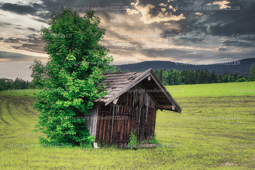 _J3A7949 | medienkrizzler - Realisiert mit Pictrs.com