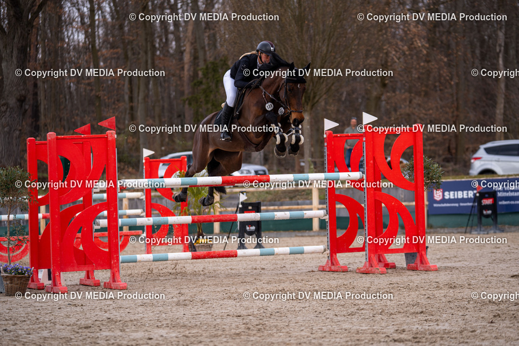 Kranichstein Tag 2-2187 | dv-media-shop - Realisiert mit Pictrs.com