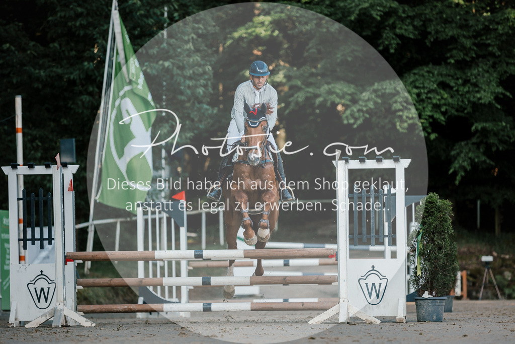 3I6A6088 | Stimmungsvolle Portraits und Reitsportfotografie im Ruhrgebiet und im Münsterland.

Pferdefotografie, Hundefotografie, Tierfotografie, Reportagen, Portraits von Tier und Mensch, Turnierfotografie in Bochum, Recklinghausen, Marl, Haltern am See, Dülmen.. - Realisiert mit Pictrs.com
