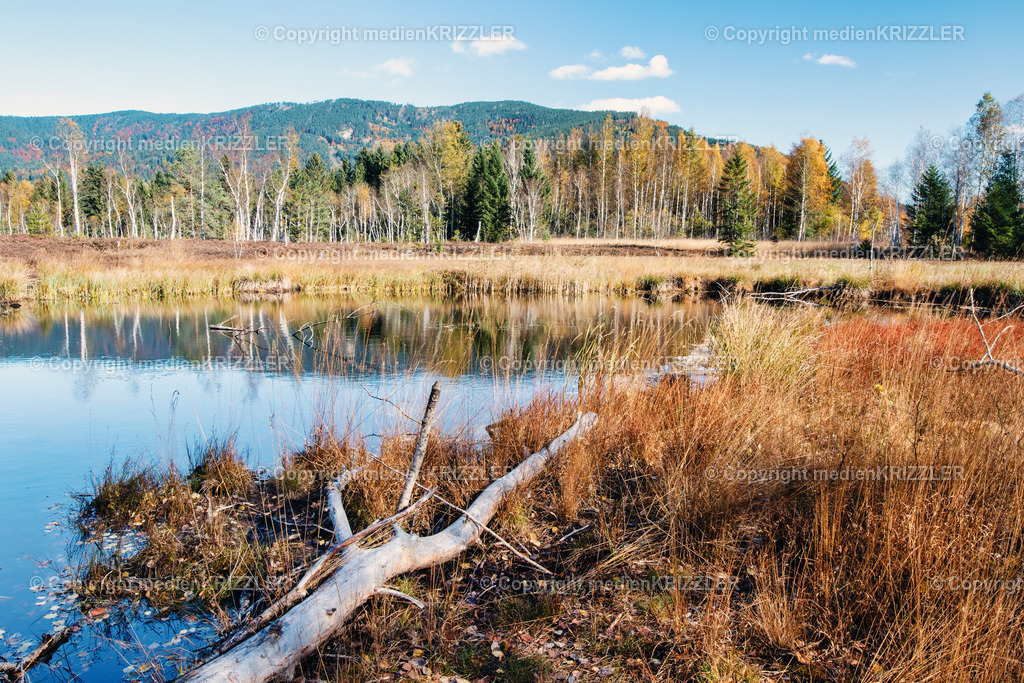 _07A6133 | medienkrizzler - Realisiert mit Pictrs.com