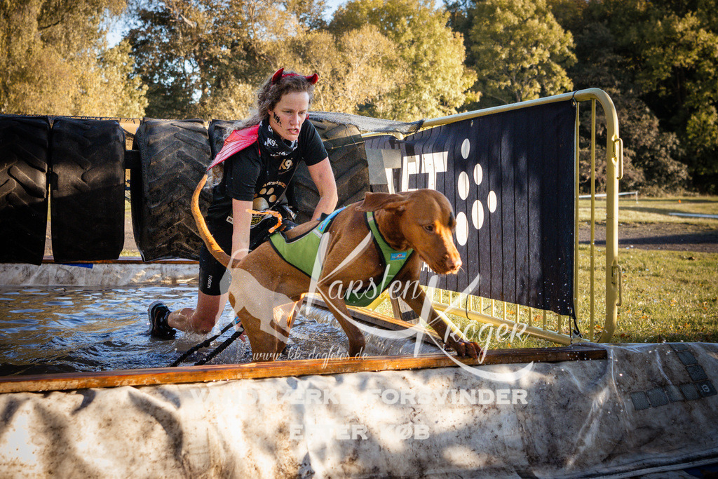 0917_ZZ90404 | kk-dogfotos