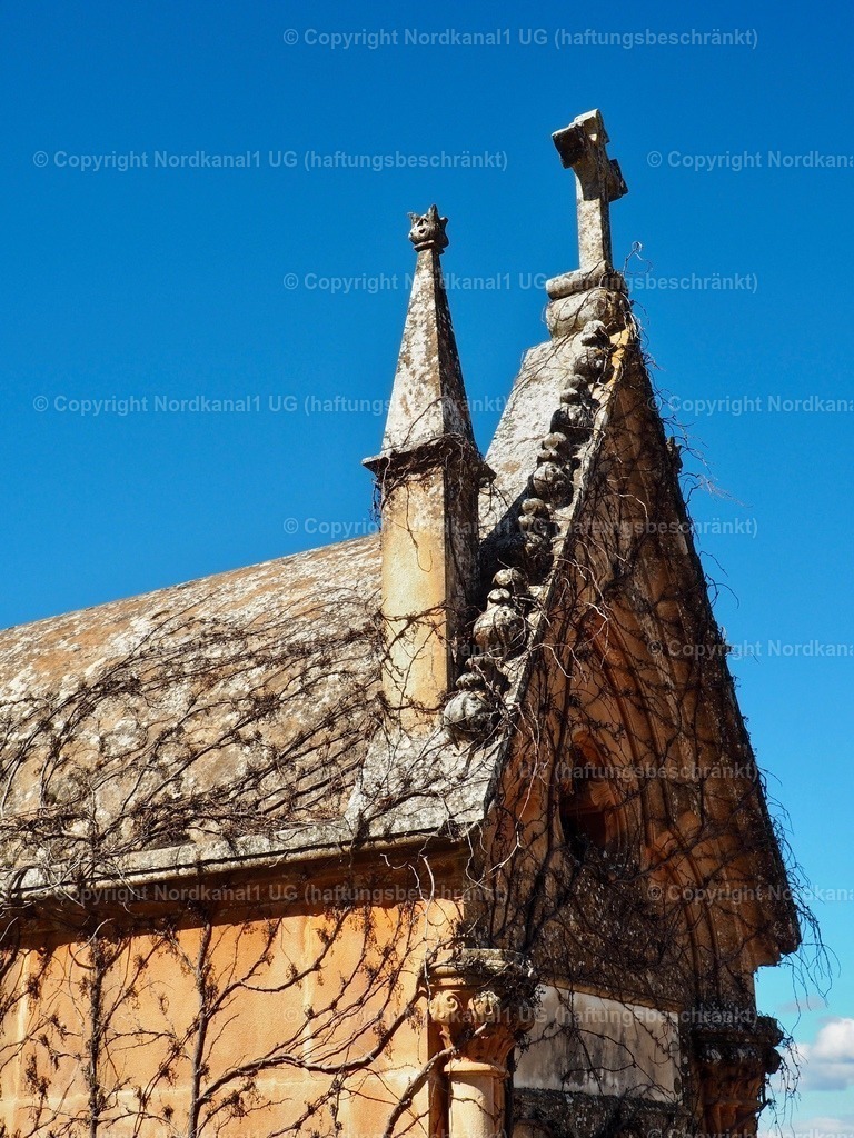 IMG_2858 | OLYMPUS DIGITAL CAMERA          - Realisiert mit Pictrs.com