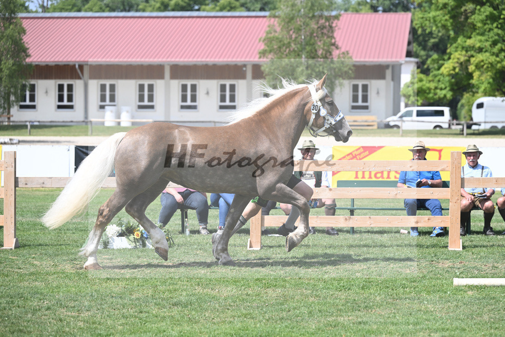 Kat-Nr. 30 Niagara_Bacher_20230454 | hf-fotografie - Realisiert mit Pictrs.com