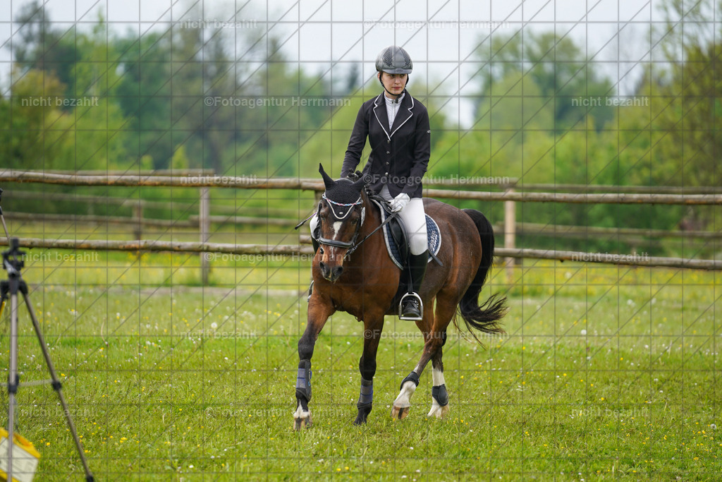 20230520-FAH04854 | Frühjahrsturnier, Landsberg am Lech, 2023, Reitclub Landsberg, Turnierbilder, Fotos Turnier Landsberg, Fotoagentur Herrmann, Turnierfotografen Bayern, Reitsport Fotograf, Pferde Fotograf