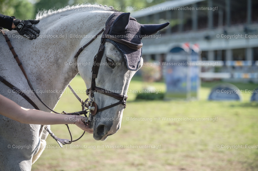 20240520_20_CSI4_Grosser-Preis_0393 | Foto: Thomas Hartig