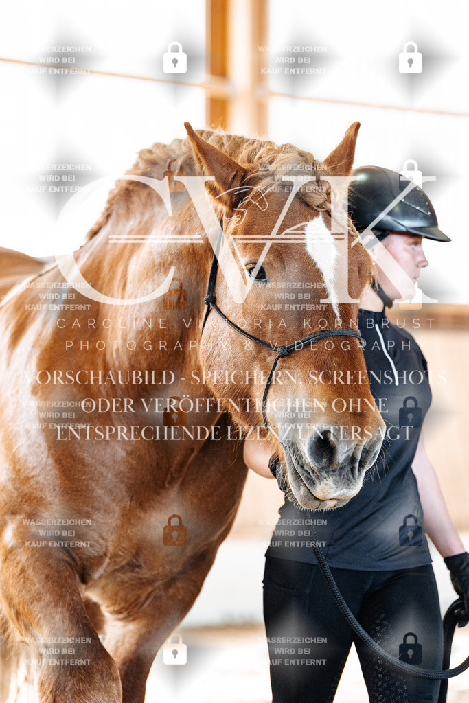 CK906335 | Turnierfotografie Pferdefotografie Trier Rheinland-Pfalz Pferdesport Reitsport Tierfotografie Sportfotografie Pferdevideo Pferdevideografie Equestrianvideography equestrianphotography  - Realisiert mit Pictrs.com