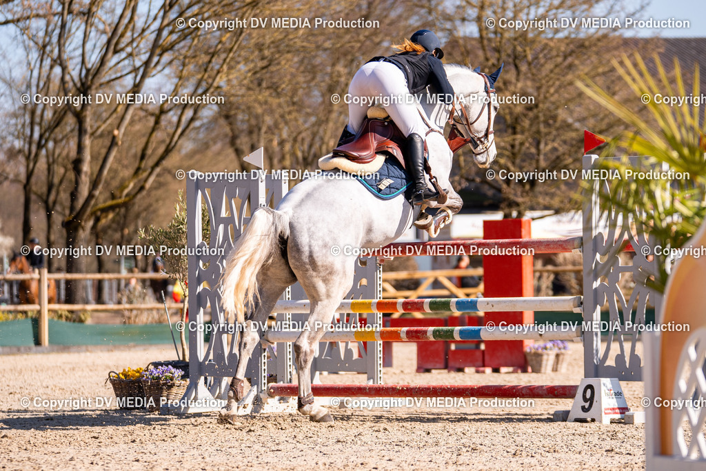 Kranichstein Tag 2-739 | dv-media-shop - Realisiert mit Pictrs.com