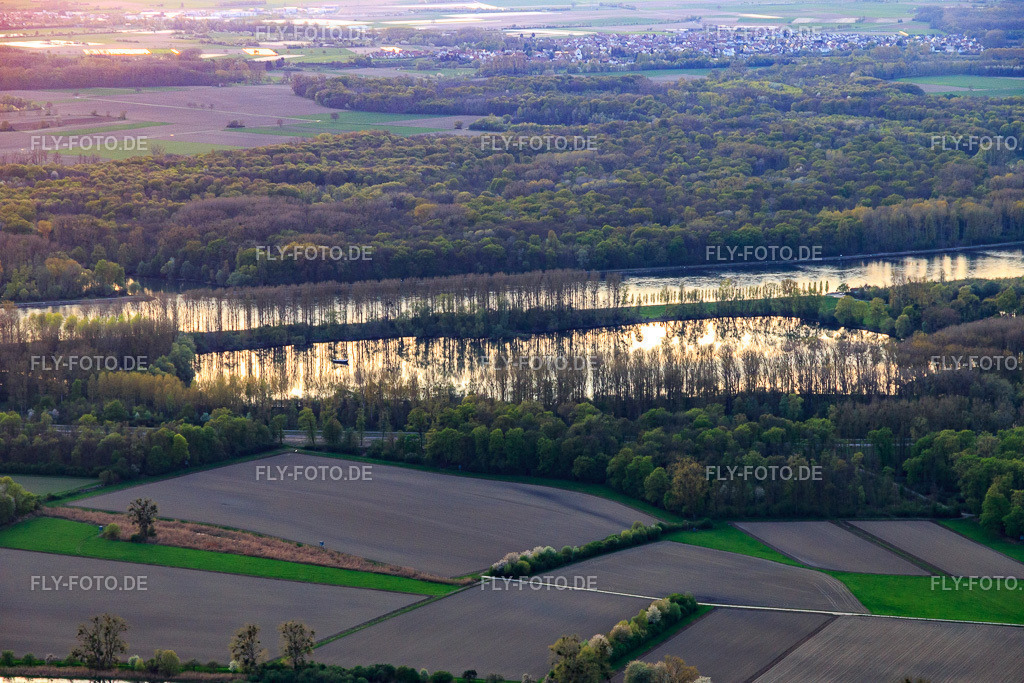 Rheinniederung von Karlsruhe bis Philippsburg | Luftbild: Rheinniederung von Karlsruhe bis Philippsburg in Linkenheim-Hochstetten im Bundesland Baden-Württemberg in Deutschland. Foto: IMG_106668.jpg vom 17.04.2018 durch Werner Riehm/FLY-FOTO.de - Realisiert mit Pictrs.com