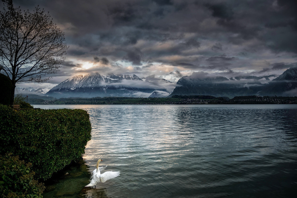 Ready for Takeoff | • 1/5 | ultraHD Fuji Crystal DP II | 58.7 x 87 cm |  | 85 | 1140 | CHF 200
• 2/5 | ultraHD Fuji Crystal DP II | 58.7 x 87 cm |  | 85 | 1151 | sold
• 3/5 | Hahnemühle Fine Art Print Photo Rag | 60 x 80 cm |  | 85 | 1182 | CHF 280 - Realisiert mit Pictrs.com