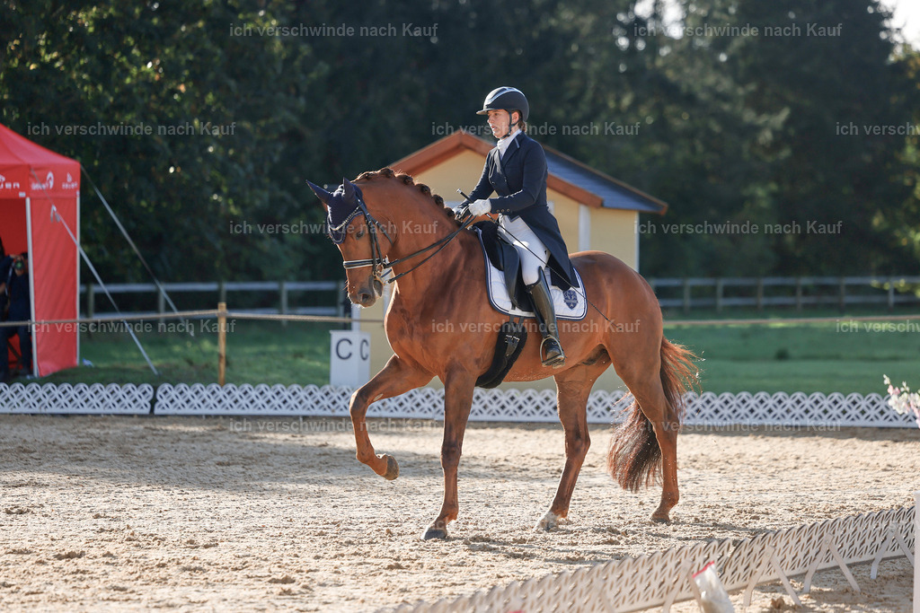 09_1-143-DRESSUR  S_  -StoibPH-5559 | working equitationturnier fotograf videograf stoibphotography marixx film working equitation deutschland reitsport turnierfotografie eventfotografie equestrian events