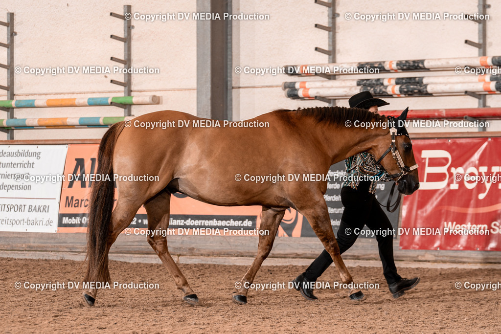 LM Heiligenwald Tag 1-339 | dv-media-shop - Realisiert mit Pictrs.com