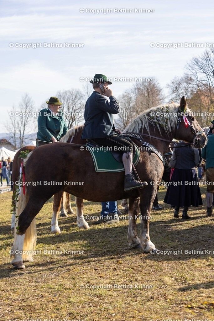 LBT24-1129 | foto-bettina-krinner - Realisiert mit Pictrs.com