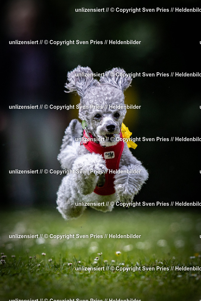Sven Pries | 2025-05-29 - Pudelrennen KA-Durlach - Realisiert mit Pictrs.com