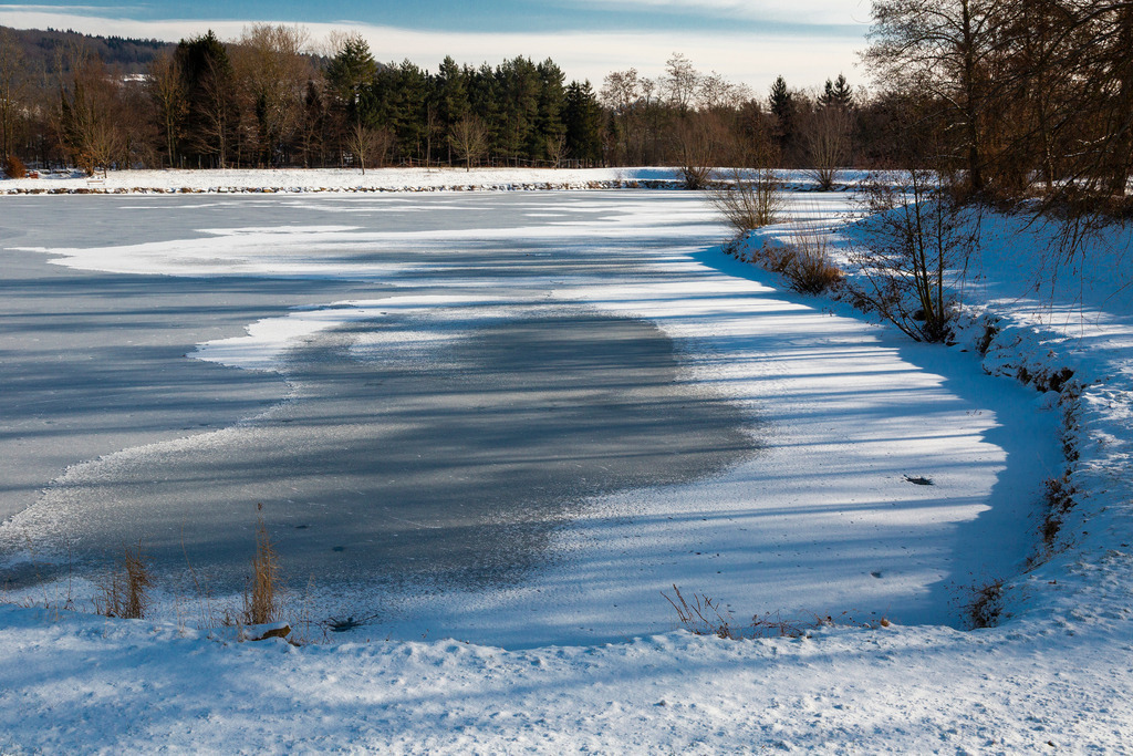 _ 3382_WINTER26_8291 | WInteraufnahmen Loosdorf 2026