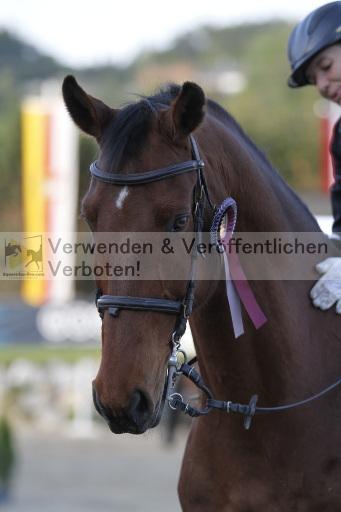 _MG_8639 | equestrian-live-com