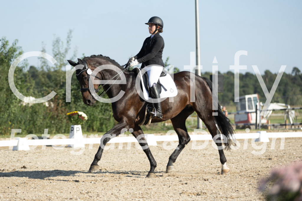 IMG_0800 | Creatify Fotografie