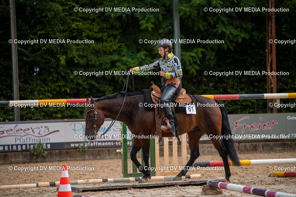 ZS3_9202 | dv-media-shop - Realisiert mit Pictrs.com