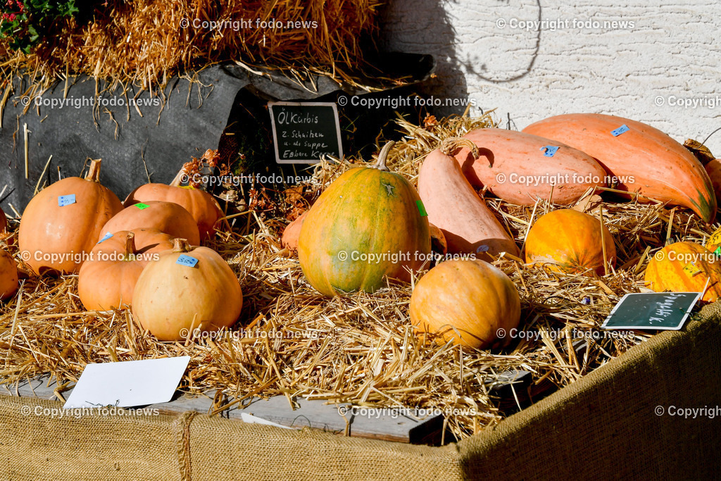 Linz_ 30.10.2025-5 | 30.10.2025, LINZ, AUT, Linz, im Bild Themenbild, Kuerbis, Oelkuerbis, Herbst, Ernte, Bauernmarkt, Stroh, Bio-Gemuese, Hofladen, regionale Produkte, saisonal, gesunde Ernaehrung, Kuerbissorten, Natur, laendlich, Erntedank, Gemuese, Kuerbisauslage, Landwirtschaft, Frische, Naturkost, Feature, Symbobild