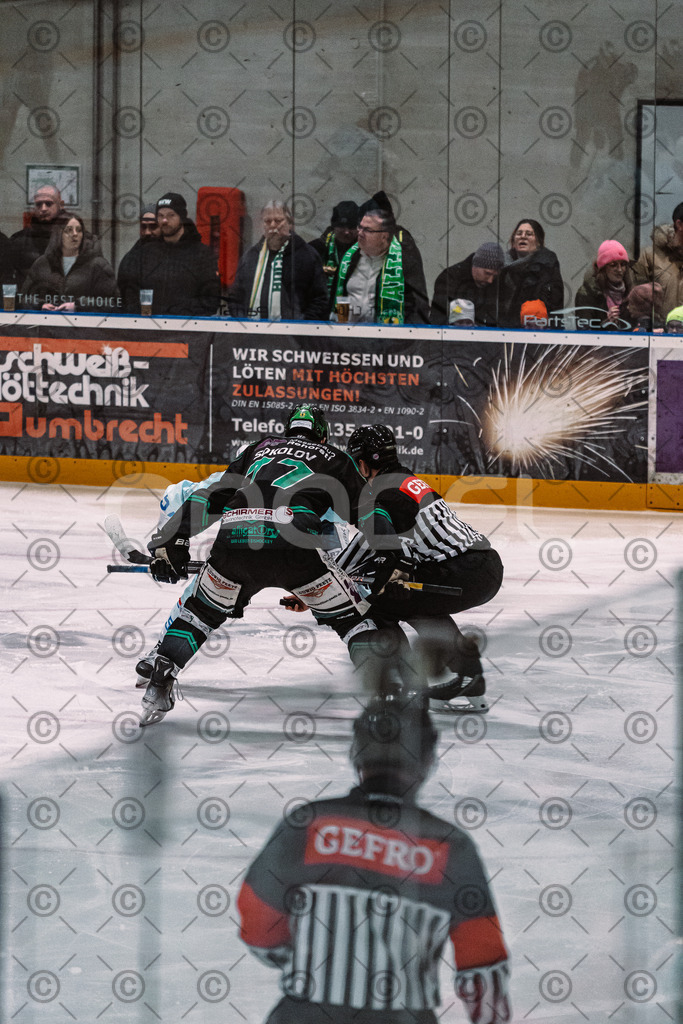 Alligators_vs_Heilbronn_08_02_2026-08 | Höchstadt Alligators Fotogalerie: Eishockey-Action aus Franken. Professionelle Spielfotos, Portraits & Stadionbilder zum Download. Jetzt entdecken! - Realized with Pictrs.com