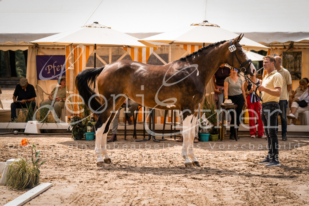 2. Fr00194 | Leoni Ertmer Photography - Realisiert mit Pictrs.com