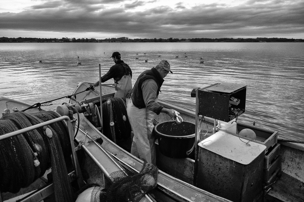 fischer-2020-122 | Nach dem Einholen der Wade wird die Beute an Bord eines der beiden Boote auf der Kleinen Breite der Schlei kurz vor Einbruch der Dunkelheit sortiert. Erst im Morgengrauen werden Jörn Ross (rechts) und Sohn Nils von ihrer Fangfahrt nach Schleswig zurückkehren. - Realisiert mit Pictrs.com