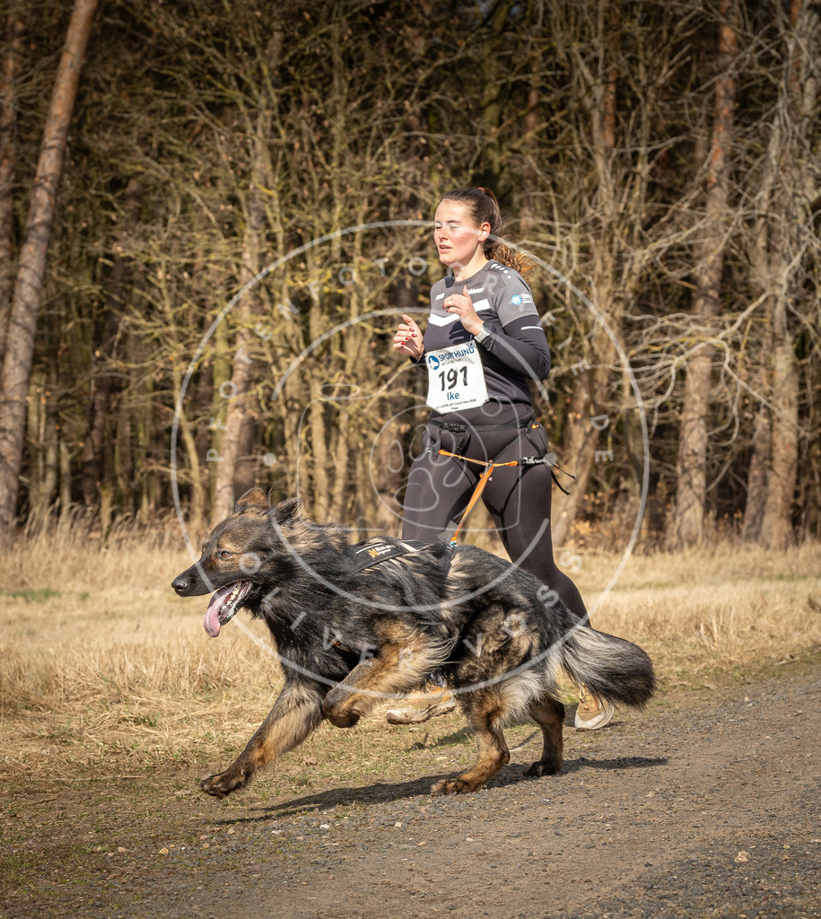 DV3A5756 | Hundefotografie, Tierfotograf, Pfotenfotografie, Fotoshooting Hund, Hunde Portrait, Hundesport, Hundeportraits, Heideshooting, Hunde, Sportfotograf, Hundefotograf, Turnierhundsport, THS,  - Realisiert mit Pictrs.com