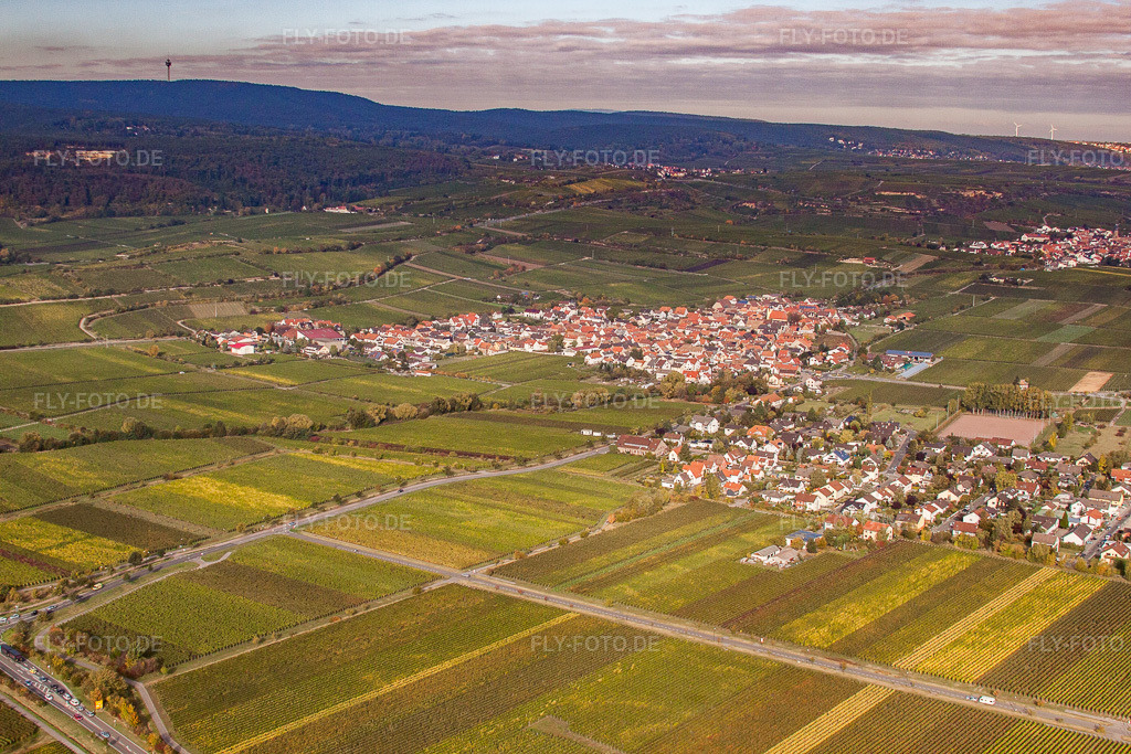 Luftbild: Winzerdorf von Südosten im Ortsteil Ungstein in Bad Dürkheim im Bundesland Rheinland-Pfalz in Deutschland. Foto: IMG_21952.jpg vom 15.10.2009 durch Werner Riehm/FLY-FOTO.de