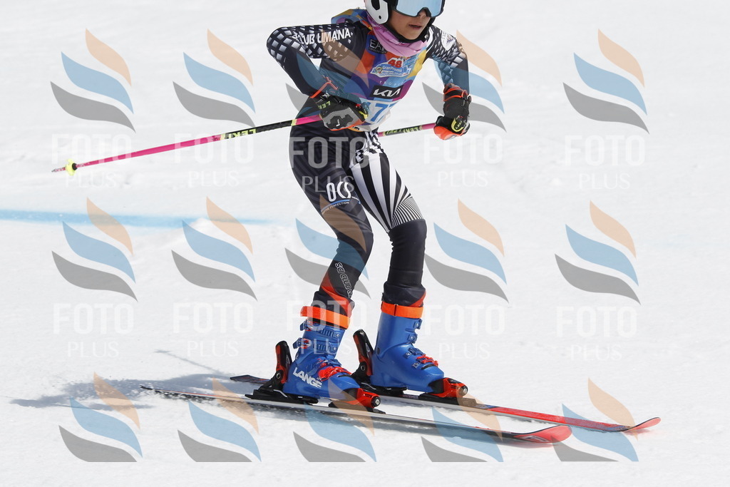 _U3G1691 | holidayphoto