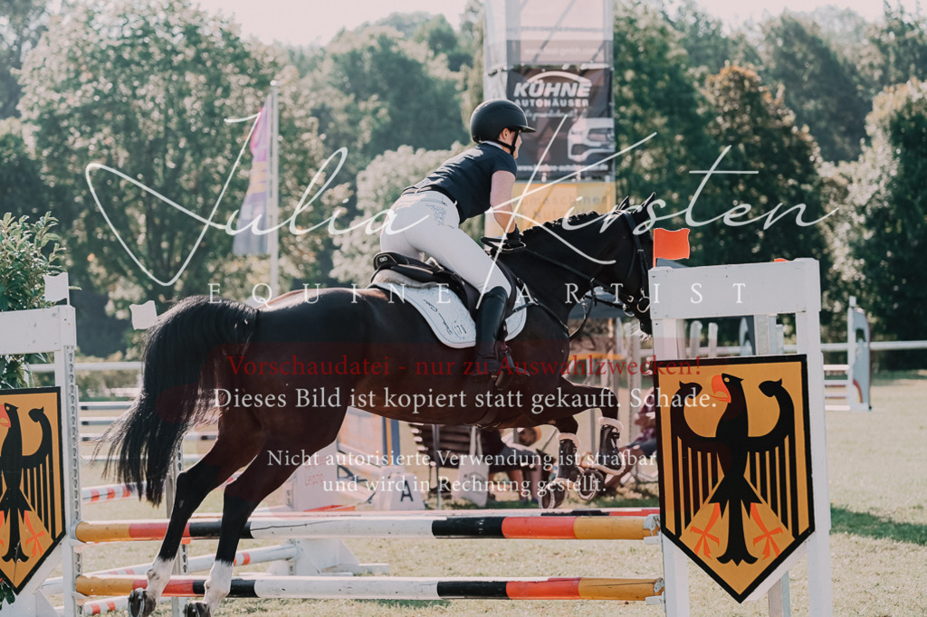 DSC_4711 | Pferde- und Turnierfotografie in Westsachsen. Pferdeportraits, Auftragszeichnungen und intuitive Kunst.