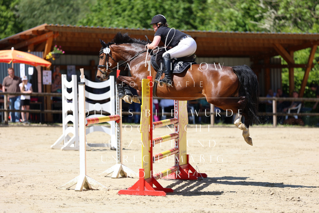 IMGS8612 | pl-fotografie