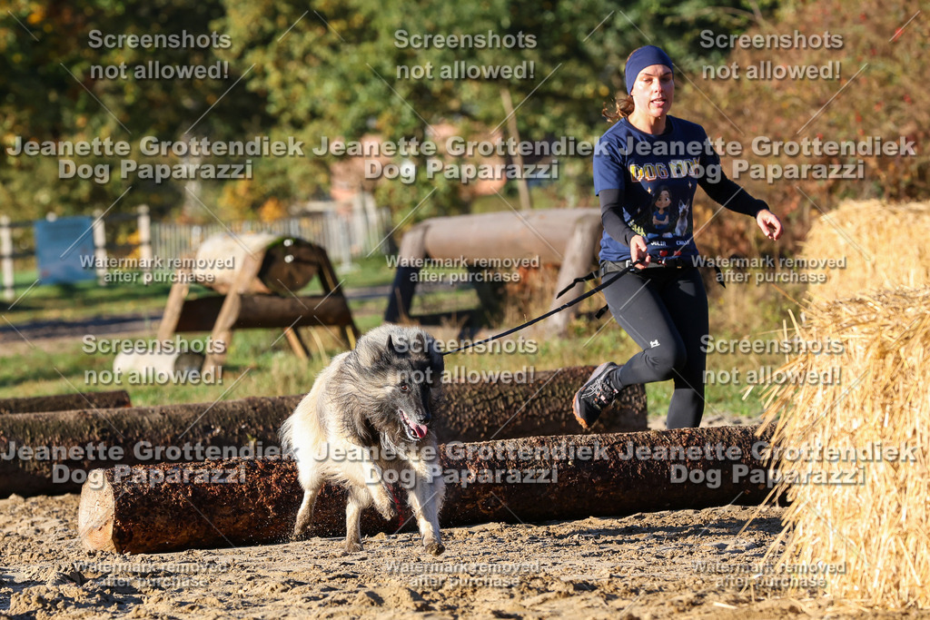 Dog Paparazzi - Strongdog 10-25-1082 | Dog Paparazzi Jeanette Grottendiek Fotografie & Videografie - Realisiert mit Pictrs.com
