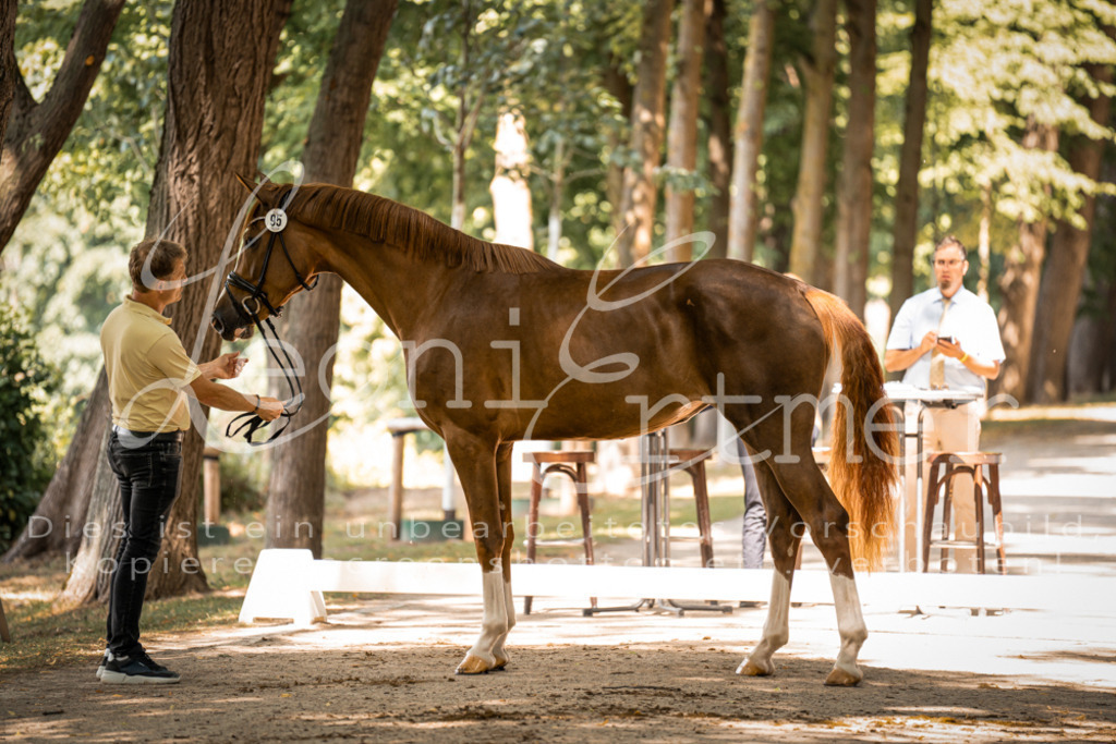 FrPfM00250 | Leoni Ertmer Photography - Realisiert mit Pictrs.com