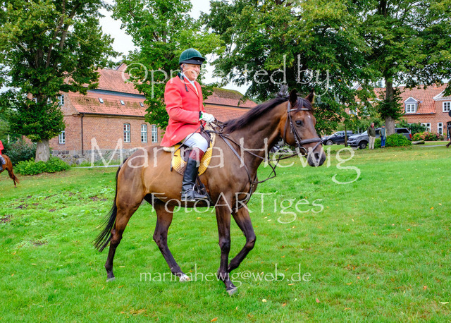 Jagd Kletkamp 26-9466_MarinaHewig | Fotografie, FotoArt, PferdesportArt, Pferdesportfotografie, Landschaftsfotografie, Reisefotografie, Reise, Pferde - Realisiert mit Pictrs.com
