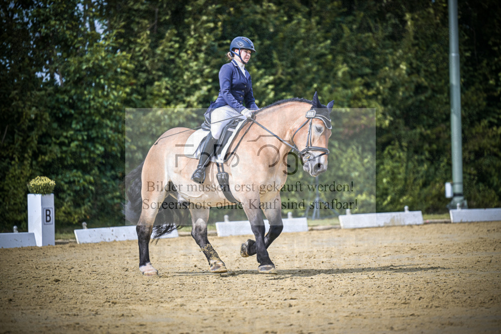 DOS_6680 | Entdecke hochwertige Reitturnierfotos von Foto Oger. Professionell, emotional und authentisch – jetzt Lieblingsmomente im Shop bestellen.Deutschlandweite Turnierfotografie. - Realisiert mit Pictrs.com