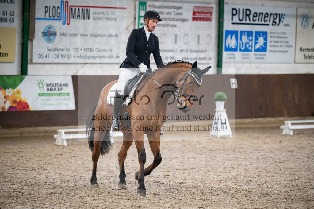 Hallenreittunier Voxtrup 2023 | Entdecke hochwertige Reitturnierfotos von Foto Oger. Professionell, emotional und authentisch – jetzt Lieblingsmomente im Shop bestellen.Deutschlandweite Turnierfotografie. - Realisiert mit Pictrs.com