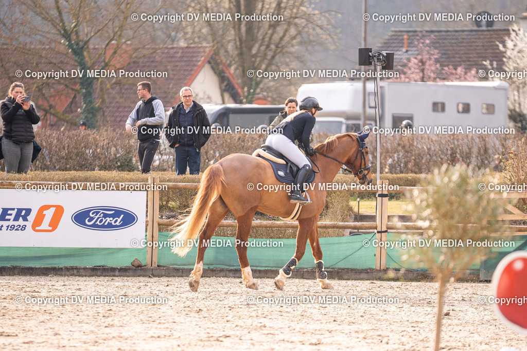 Kranichstein Tag 2-1414 | dv-media-shop - Realisiert mit Pictrs.com