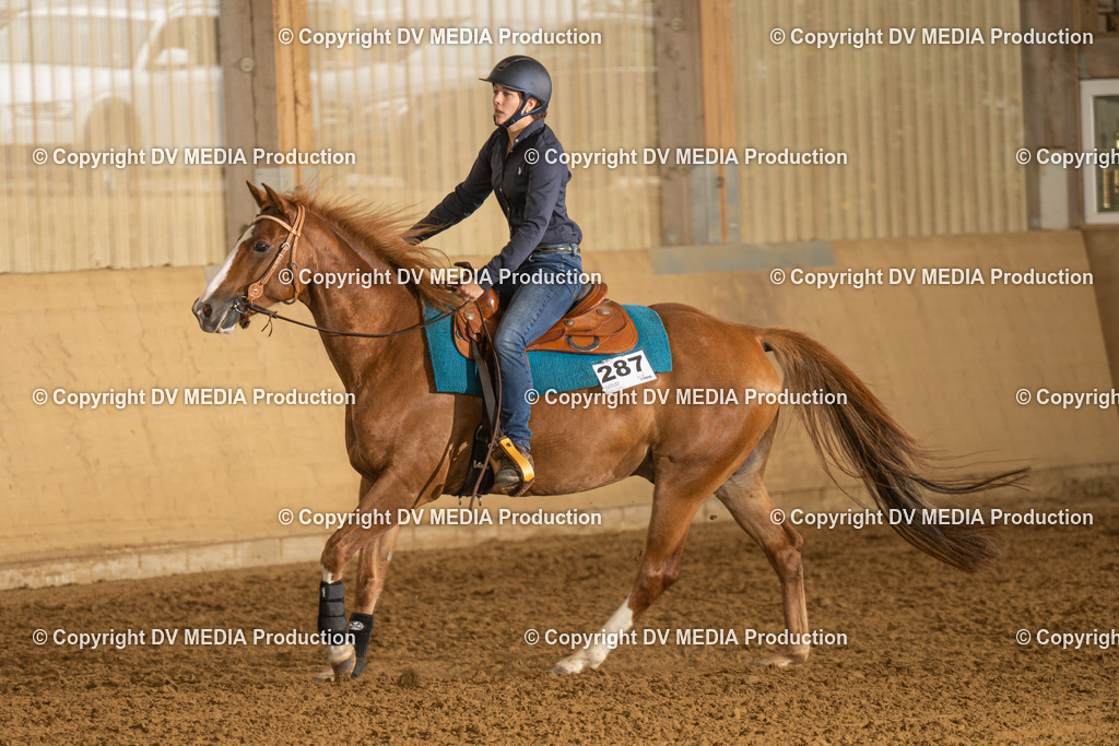 LAU00596 | dv-media-shop - Realisiert mit Pictrs.com