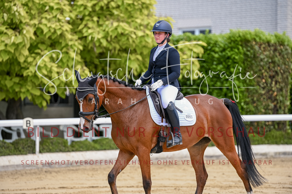 Schugtsche-Aluta25-48.Reitpferfdeprf.-175 | Schugtsche Fotografie - Realisiert mit Pictrs.com