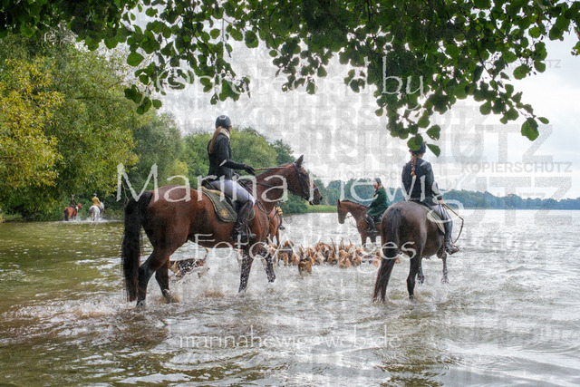 Jagd Perdoel_MarinaHewigDSCF3498 | Fotografie, FotoArt, PferdesportArt, Pferdesportfotografie, Landschaftsfotografie, Reisefotografie, Reise, Pferde - Realisiert mit Pictrs.com