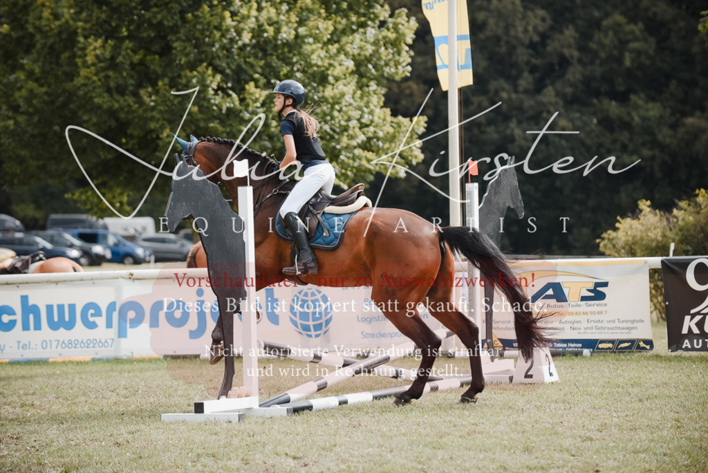 DSC_5508 | Pferde- und Turnierfotografie in Westsachsen. Pferdeportraits, Auftragszeichnungen und intuitive Kunst.