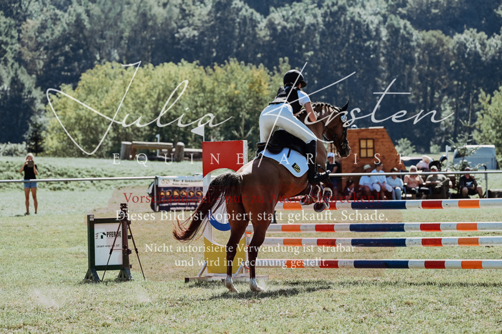 DSC_6134 | Pferde- und Turnierfotografie in Westsachsen. Pferdeportraits, Auftragszeichnungen und intuitive Kunst.