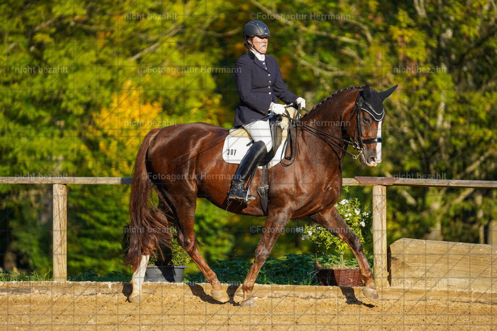 20221007-FAH00357 | Diessen am Ammersee, 2022, Dressur- und Springturnier, Reitsportbilder, Turnierfotografen Bayern, Pferdefotografen, Fotoagentur Herrmann, Turnierbilder