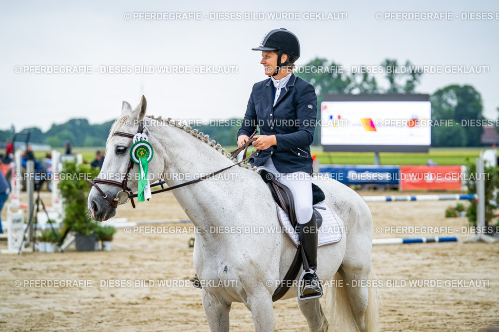 DSC02845 | Pferdegrafie