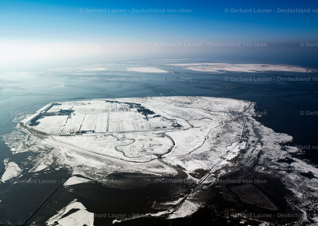 26B0061 | Hallig - Neuwerk, Nationalpark Hamburgisches Wattenmeer