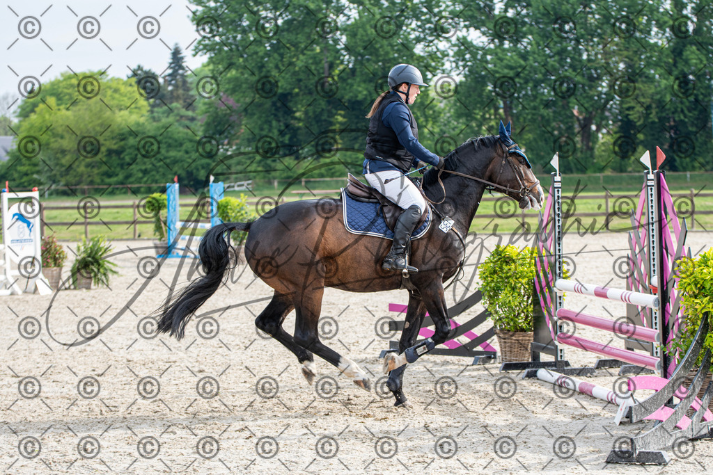 KPT_2019 | andre_photographic